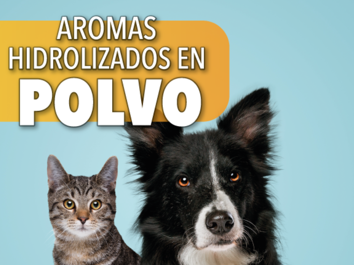 Hidrolizados En Polvo