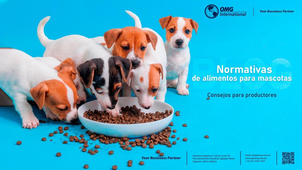 Consejos para productores: Normativas de alimentos para mascotas
