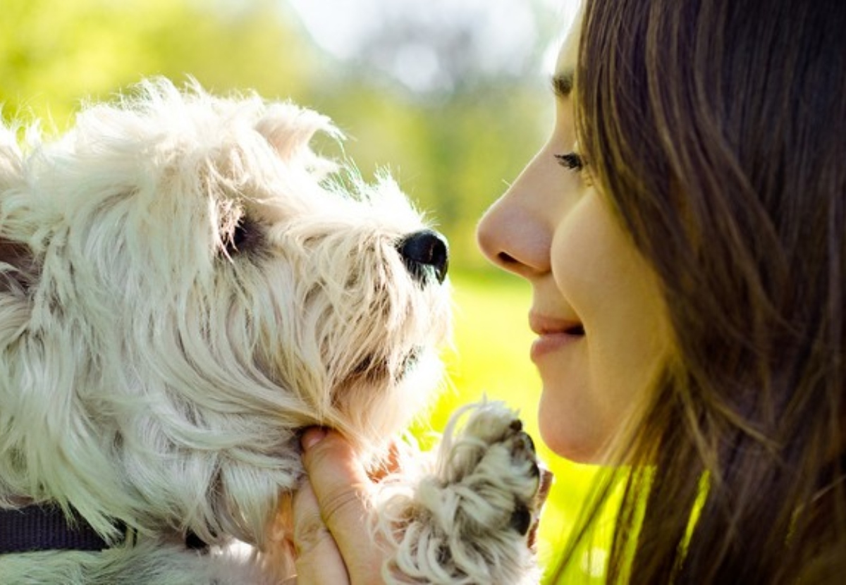 Animales Alérgicos -  Cuidados Especiales en la Alimentación