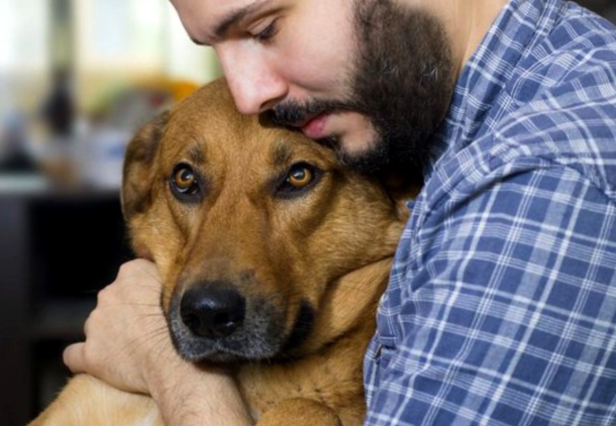 Entre Ríos declaró a los Animales "Sujetos de Derechos"