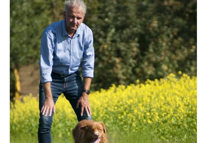 Promover Hábitos de Salud para Abordar la Obesidad de las Mascotas