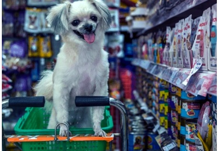 Panorama del Mercado Pet en Brasil