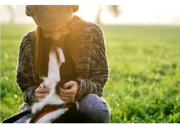 Proteger el alimento para mascotas de la oxidación de manera natural