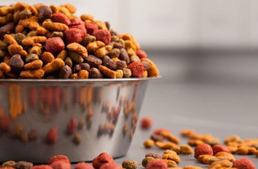 Tendencias 2020 para la industria del Pet Food