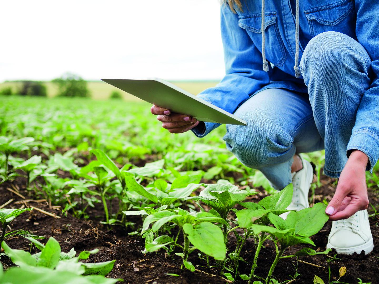 Agricultura regenerativa en pet food, una puerta hacia la economía circular en la industria