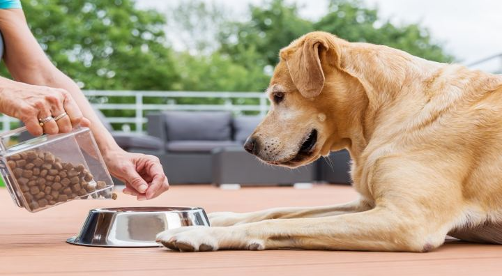 Proteger el alimento para mascotas de la oxidación de manera natural