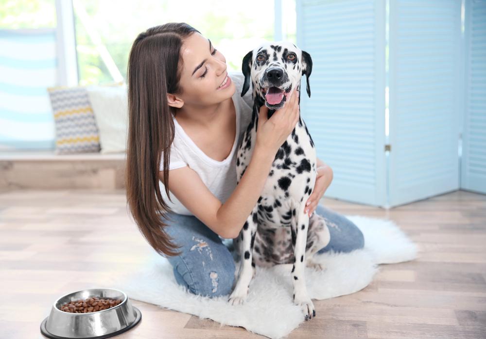 El enfoque en el bienestar de las Mascotas impulsa la demanda de proteína de arroz 