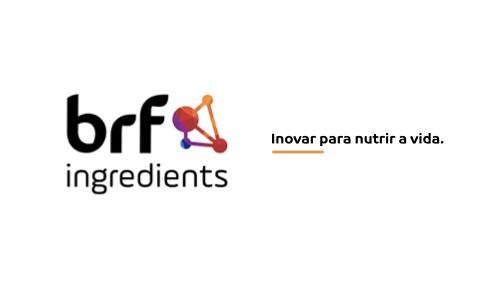 Alternativas para aumentar la digestibilidad en alimentos para mascotas