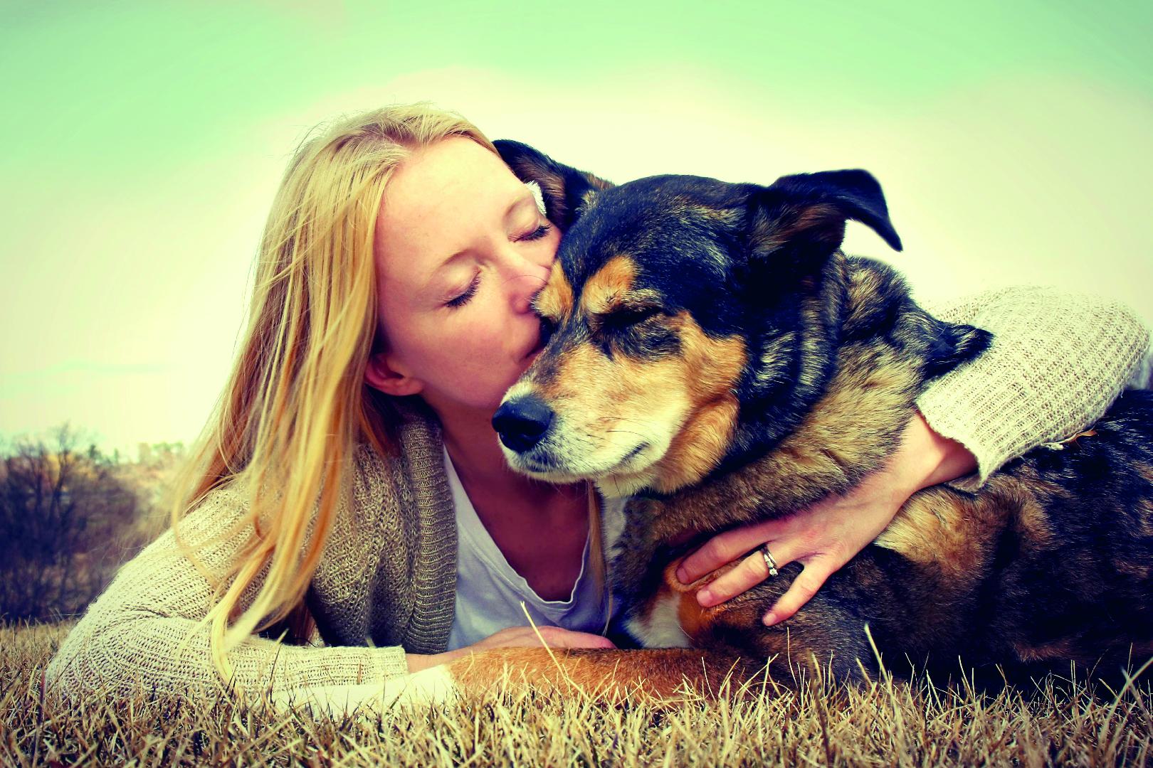 Los cambios sociales que afectan a la industria pet food y demandan innovación