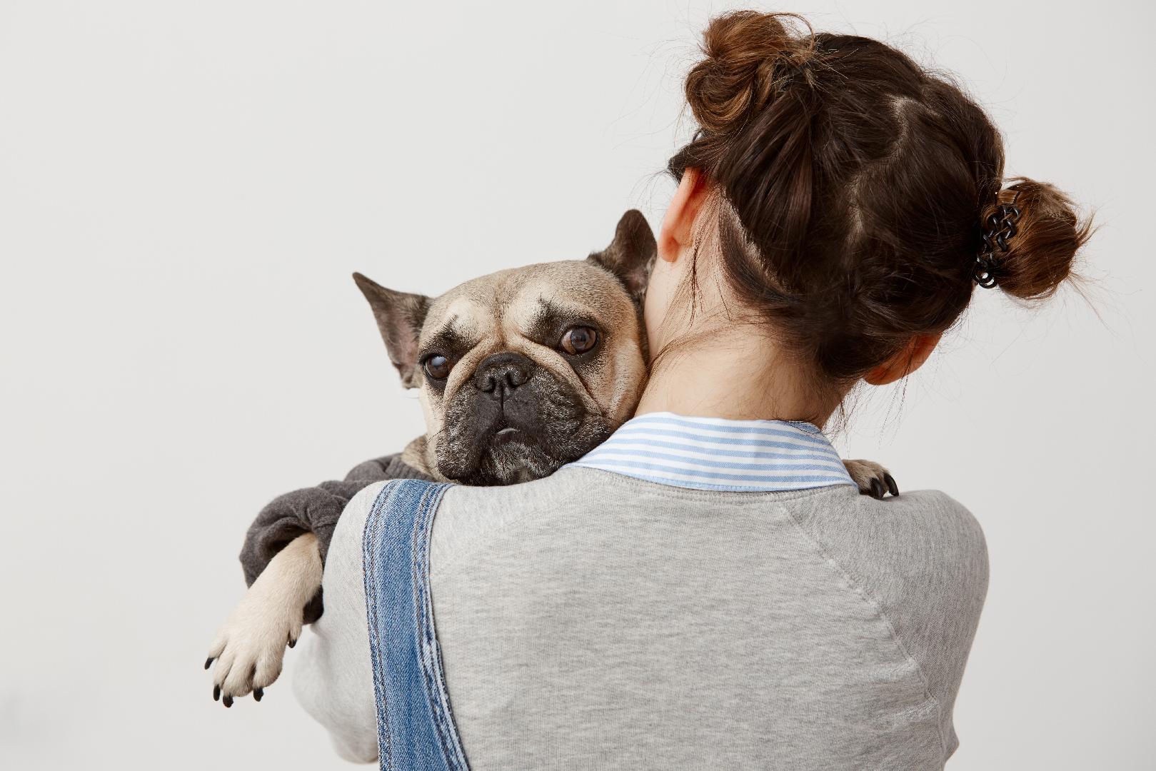 Tutores y sus mascotas compartiendo la búsqueda del bienestar