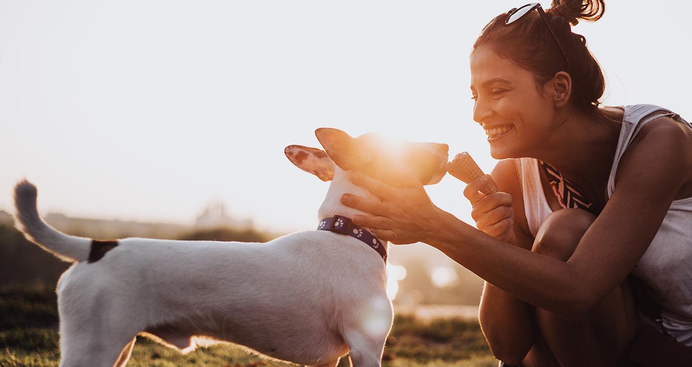 Indulgencia premium: la tendencia a consentir a las mascotas con una calidad superior