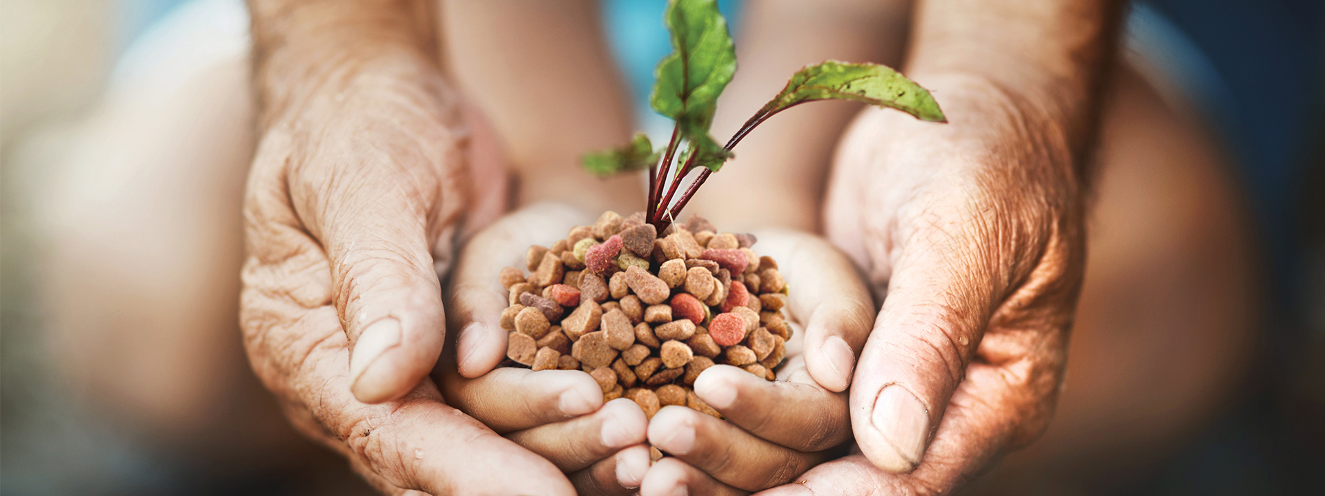 Evaluación del ciclo de vida: Cómo medir el impacto ambiental de los alimentos para mascotas