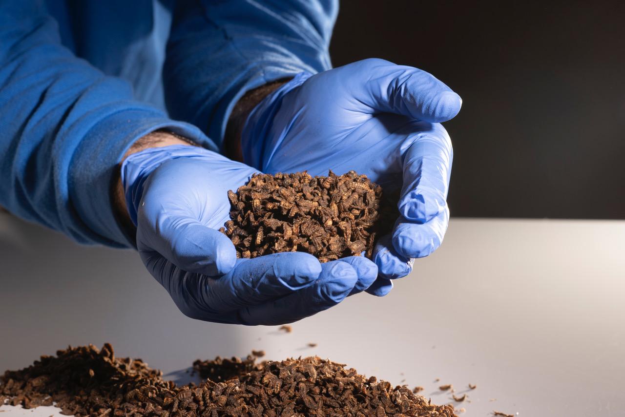 Bioflytech avanza en la construcción de su segunda planta en España