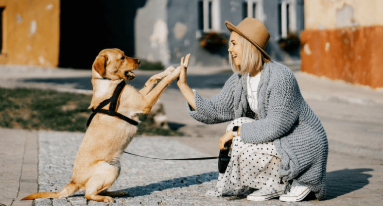 La industria española de animales de compañía protesta contra la propuesta de ley de bienestar animal