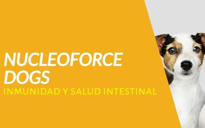 Nucleoforce Dogs de Iberian Feed