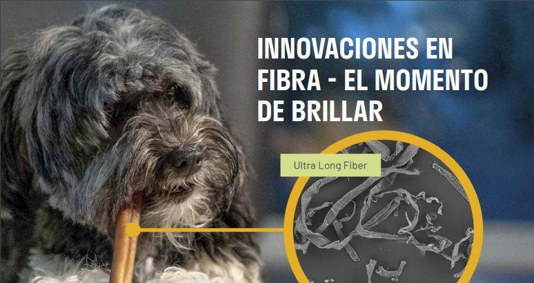 Innovaciones en Fibra - El momento de brillar