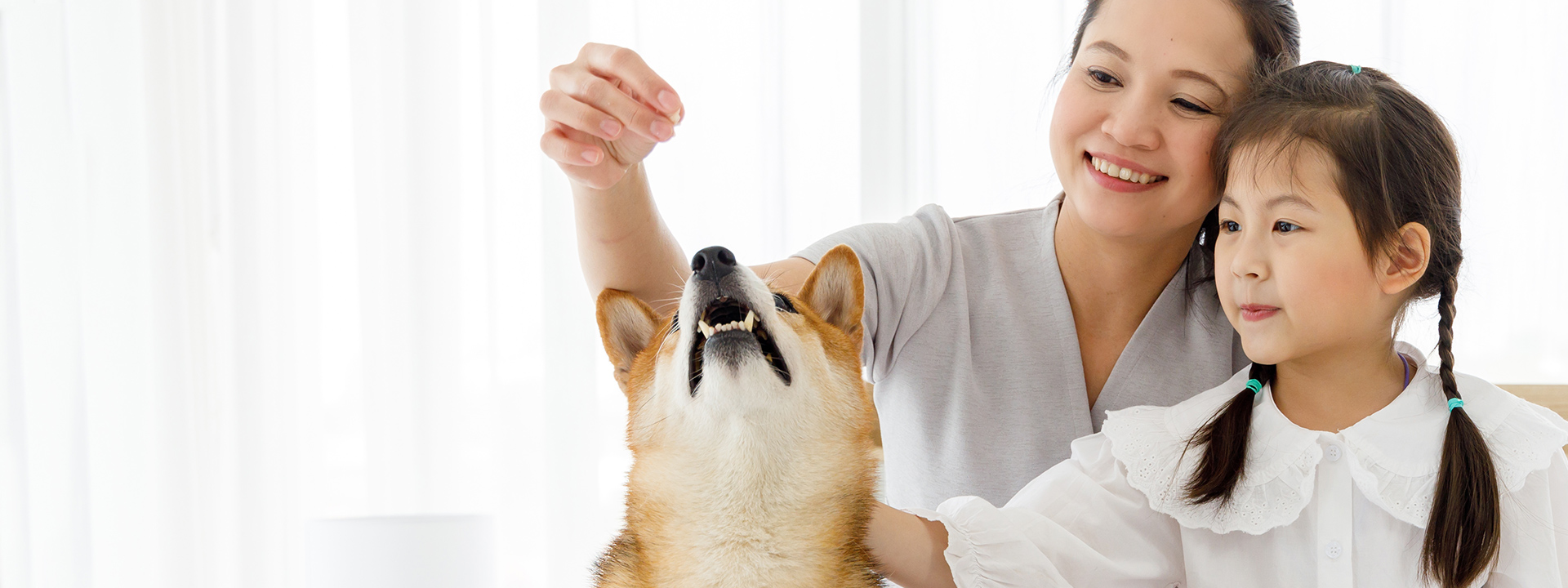 Tendencias del mercado de pet food en APAC, perspectivas de ferias de la industria