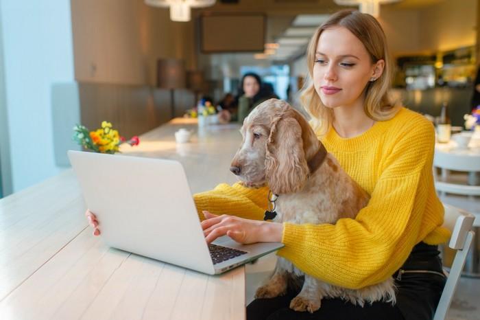 Ingredientes Derivados de Arroz: Soluciones Específicas para Mascotas Sensibles