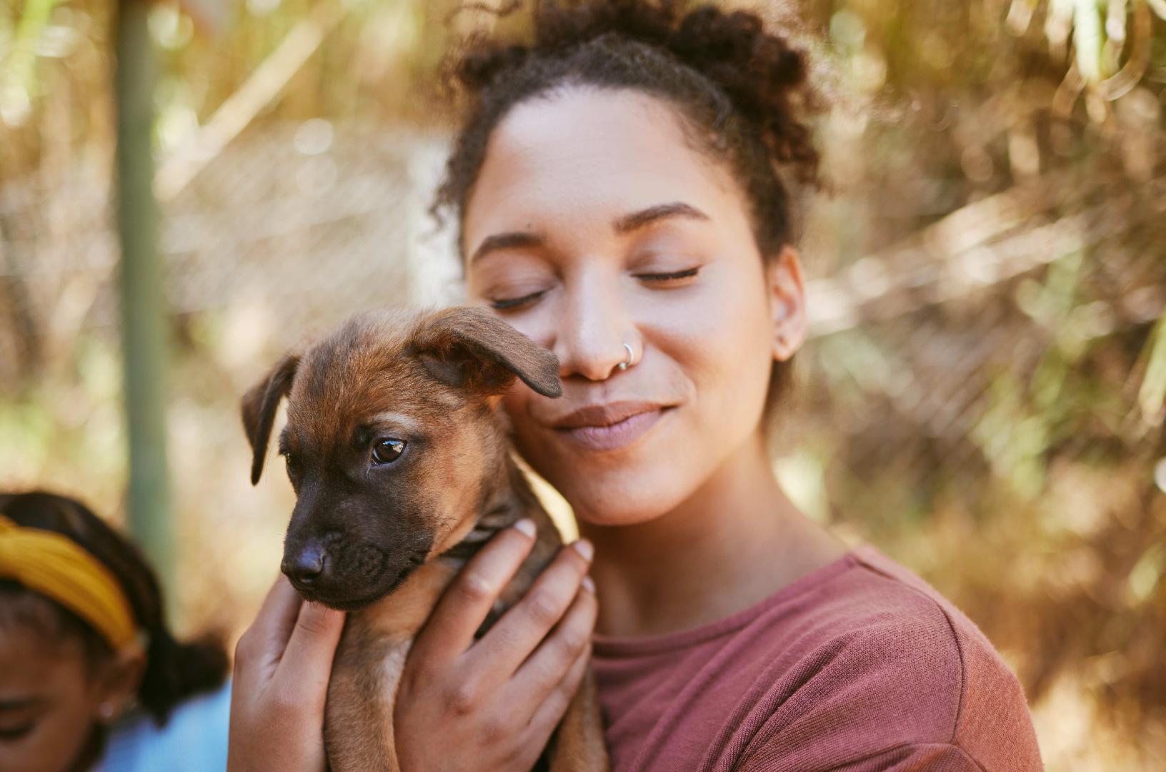 El Índice de las Mascotas Sin Hogar revela que 1 de cada 3 perros y gatos vive en esta condición