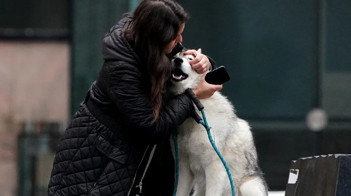 Por qué los millennials tratan a sus mascotas como si fueran sus hijos