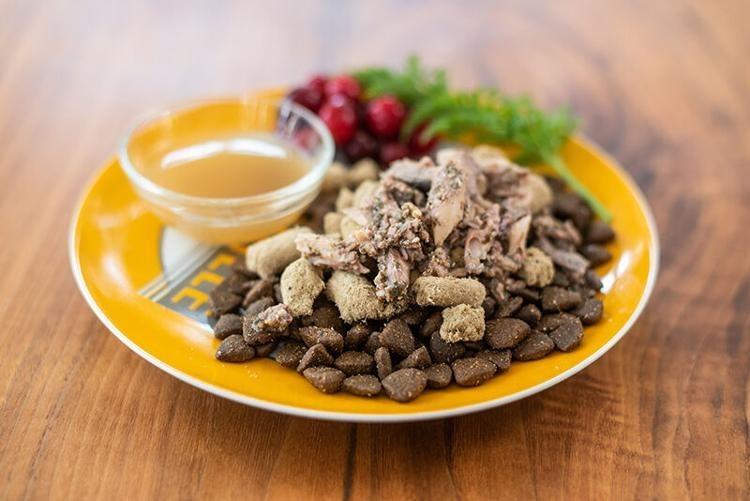 Cómo los Pet Shops pueden aumentar sus ventas de alimentos