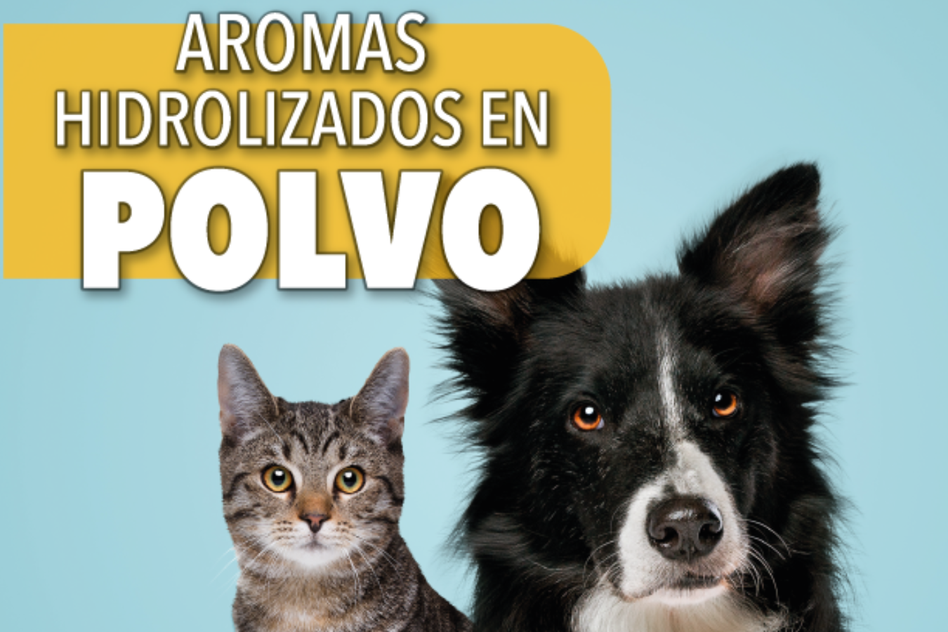 ZOADIGEST Dog Dry y ZOADIGEST Cat PW6: Mejorando la experiencia sensorial de los alimentos para mascotas con palatantes hidrolizados en polvo.