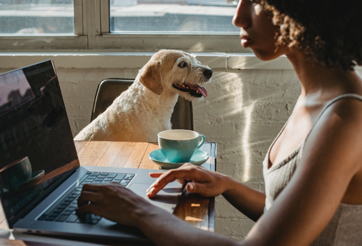 Posbióticos para mascotas ¿qué son y para qué sirven?