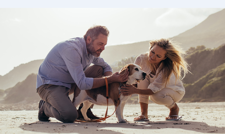 Actitudes y expectativas de los propietarios de mascotas sobre el envejecimiento de los perros