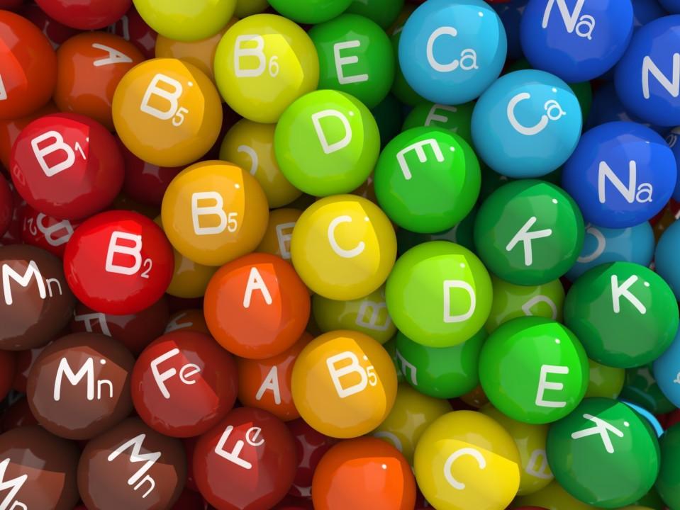 La importancia de las Vitaminas y Minerales en la Comida para Perros y Gatos